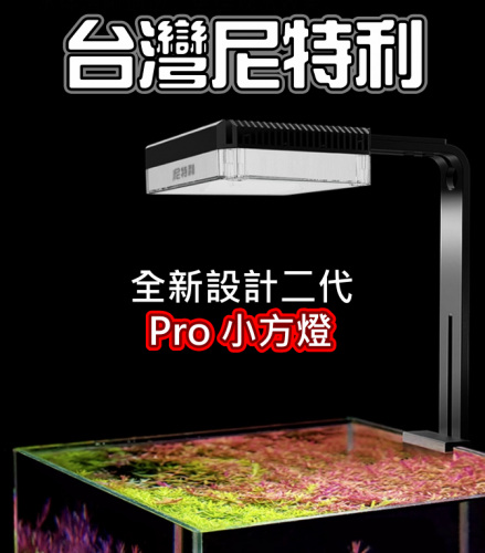 尼特利 Netlea【方燈 Pro+】