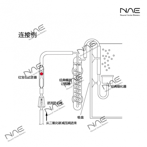 精品【紅寶石止逆閥計泡器】玻璃材質 ADA